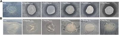 New Zinc-Based Active Chitosan Films: Physicochemical Characterization, Antioxidant, and Antimicrobial Properties